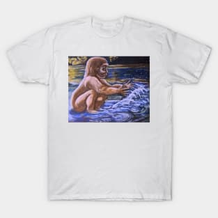 Sasquatch Child: Waterplay T-Shirt